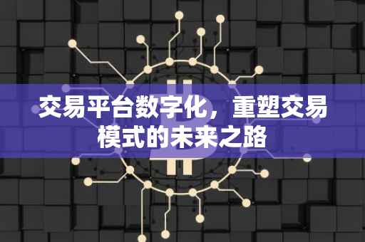 交易平台数字化，重塑交易模式的未来之路