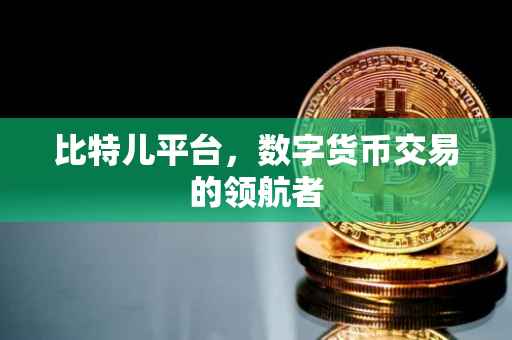 比特儿平台，数字货币交易的领航者