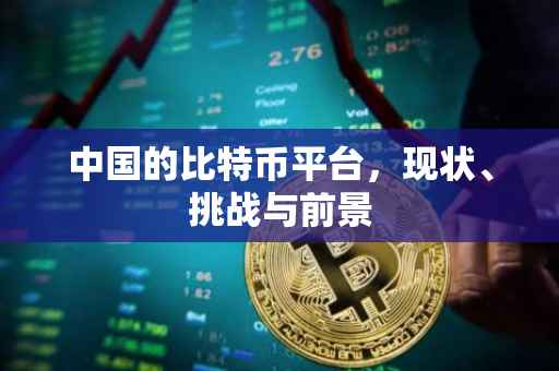 中国的比特币平台，现状、挑战与前景
