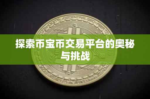 探索币宝币交易平台的奥秘与挑战