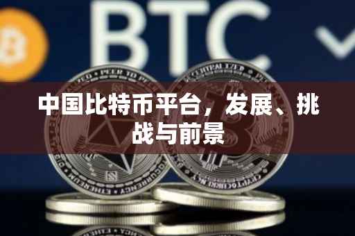 中国比特币平台，发展、挑战与前景