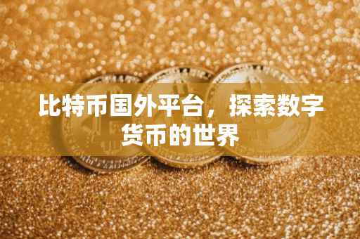 比特币国外平台，探索数字货币的世界