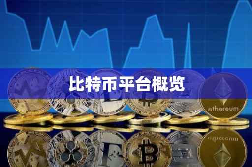 比特币平台概览