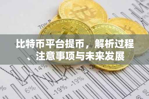 比特币平台提币，解析过程、注意事项与未来发展