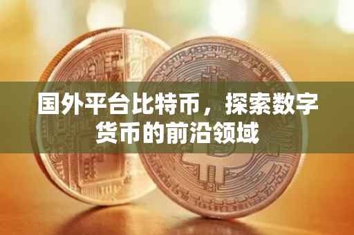国外平台比特币，探索数字货币的前沿领域