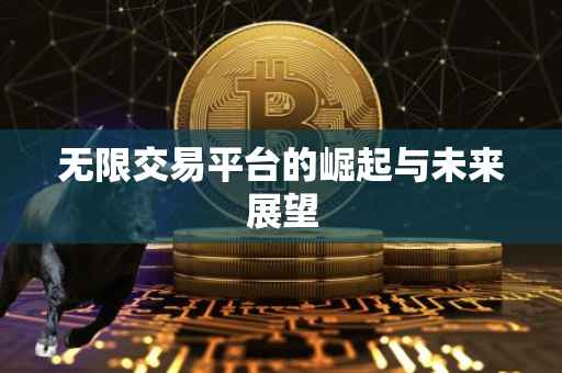 无限交易平台的崛起与未来展望