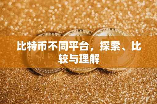 比特币不同平台，探索、比较与理解