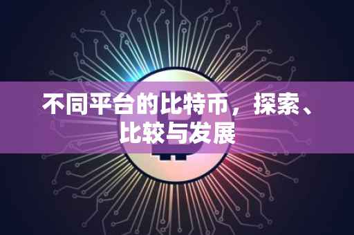 不同平台的比特币，探索、比较与发展