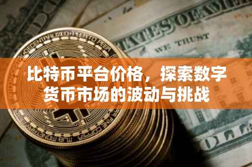 比特币平台价格，探索数字货币市场的波动与挑战