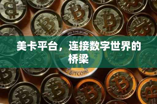 美卡平台，连接数字世界的桥梁