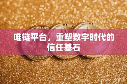 唯链平台，重塑数字时代的信任基石