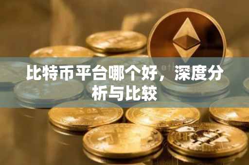 比特币平台哪个好，深度分析与比较
