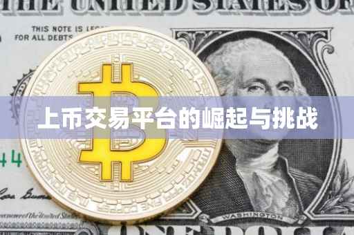 上币交易平台的崛起与挑战