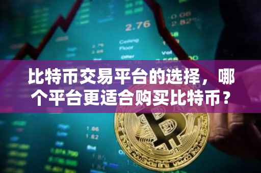 比特币交易平台的选择，哪个平台更适合购买比特币？