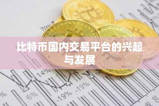 比特币国内交易平台的兴起与发展