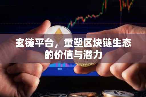 玄链平台，重塑区块链生态的价值与潜力