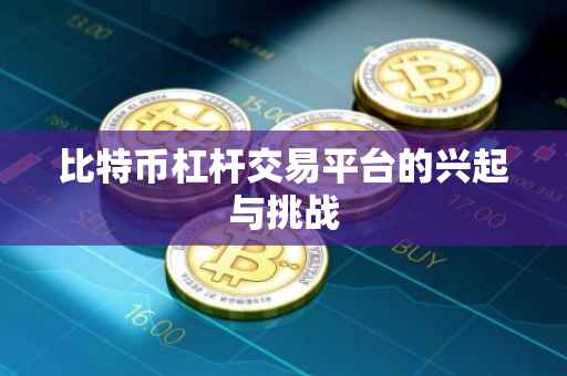 比特币杠杆交易平台的兴起与挑战