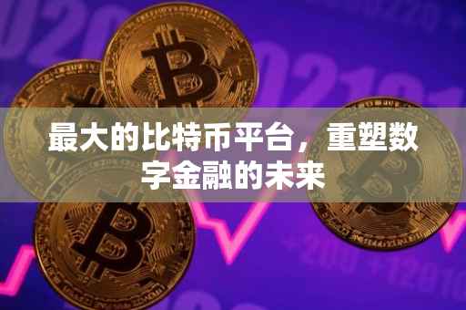 最大的比特币平台，重塑数字金融的未来