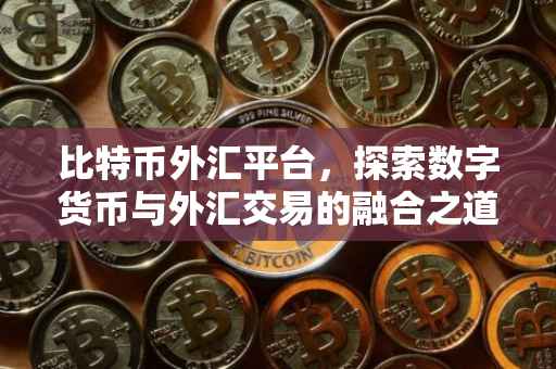 比特币外汇平台，探索数字货币与外汇交易的融合之道