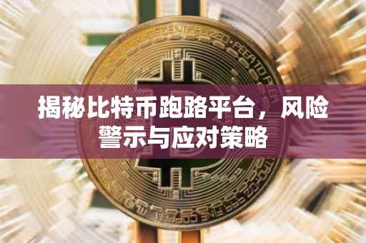 揭秘比特币跑路平台，风险警示与应对策略