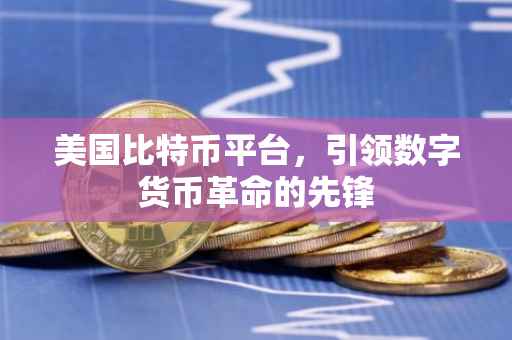 美国比特币平台，引领数字货币革命的先锋