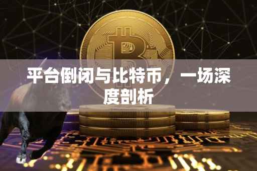 平台倒闭与比特币，一场深度剖析