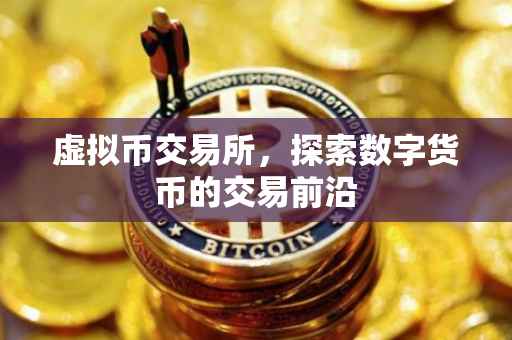 虚拟币交易所，探索数字货币的交易前沿
