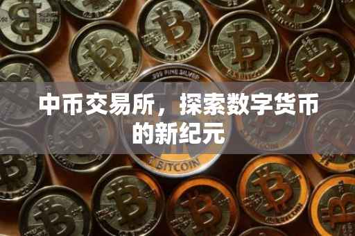 中币交易所，探索数字货币的新纪元
