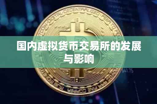 国内虚拟货币交易所的发展与影响
