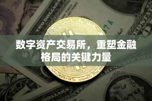 数字资产交易所，重塑金融格局的关键力量