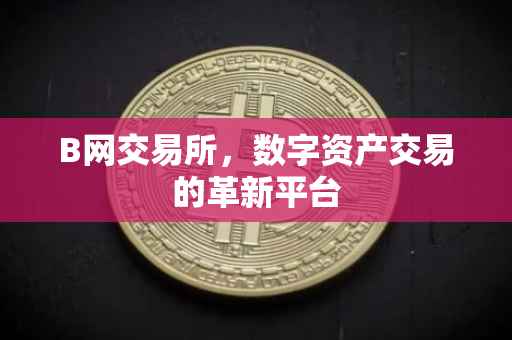 B网交易所，数字资产交易的革新平台