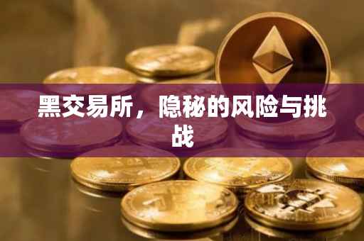 黑交易所，隐秘的风险与挑战