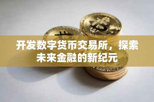 开发数字货币交易所，探索未来金融的新纪元