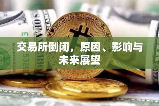 交易所倒闭，原因、影响与未来展望