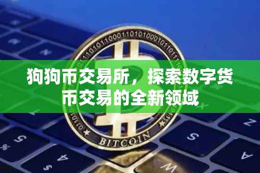 狗狗币交易所，探索数字货币交易的全新领域