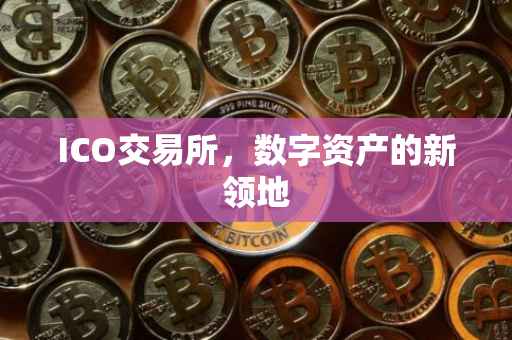ICO交易所，数字资产的新领地