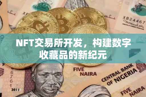 NFT交易所开发，构建数字收藏品的新纪元