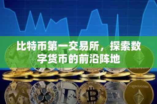 比特币第一交易所，探索数字货币的前沿阵地