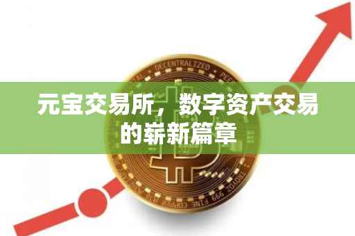 元宝交易所，数字资产交易的崭新篇章