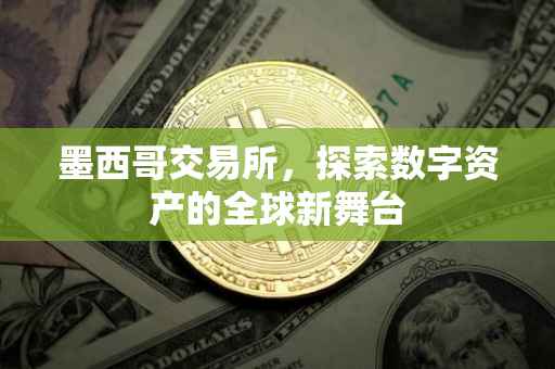 墨西哥交易所，探索数字资产的全球新舞台