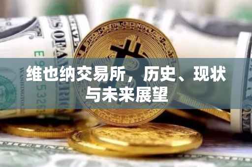 维也纳交易所，历史、现状与未来展望
