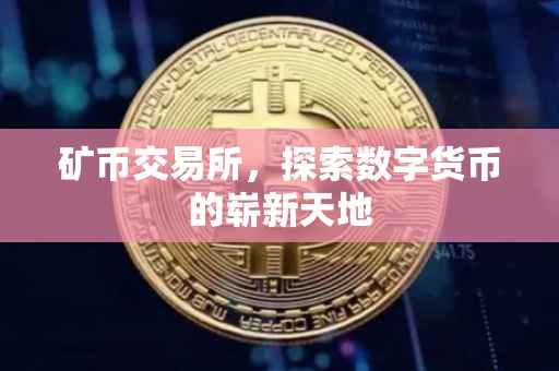 矿币交易所，探索数字货币的崭新天地