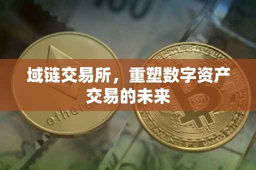 域链交易所，重塑数字资产交易的未来