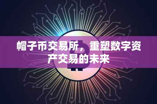 帽子币交易所，重塑数字资产交易的未来