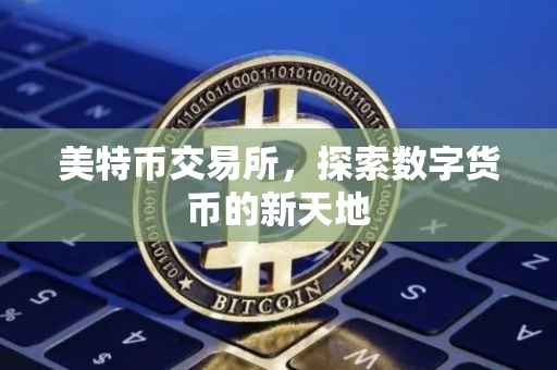 美特币交易所，探索数字货币的新天地
