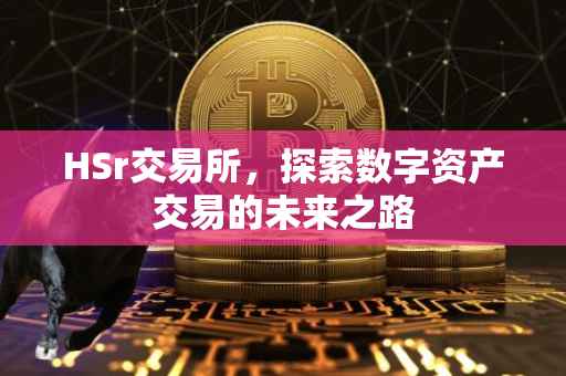 HSr交易所，探索数字资产交易的未来之路