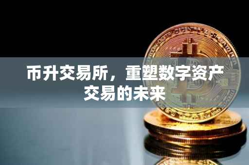 币升交易所，重塑数字资产交易的未来