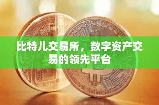 比特儿交易所，数字资产交易的领先平台