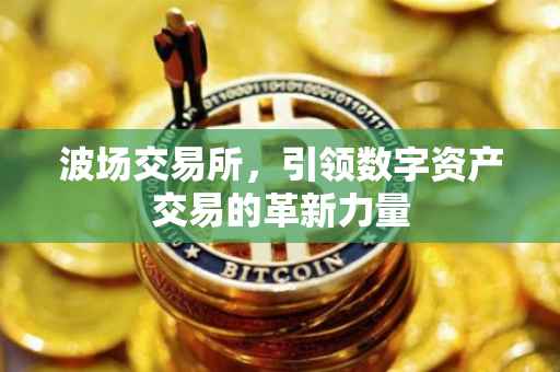 波场交易所，引领数字资产交易的革新力量