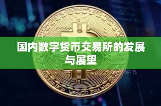 国内数字货币交易所的发展与展望